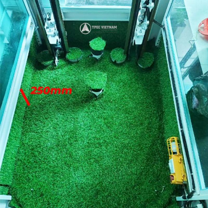 Các loại thang máy không hố pít