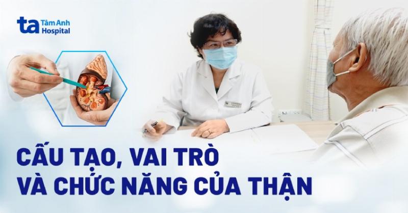 Hình ảnh minh họa cấu tạo bên trong tủ hạ thế hiện đại với các thành phần chính