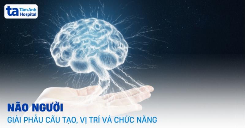 Hinh anh cau tao chi tiet cua ray thang may va cac bo phan lien quan