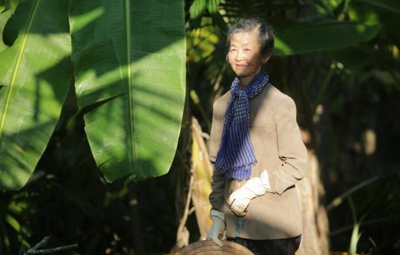 Biểu đồ thể hiện sự tăng trưởng dân số thế giới qua các thế kỷ, nhấn mạnh sự gia tăng nhanh chóng