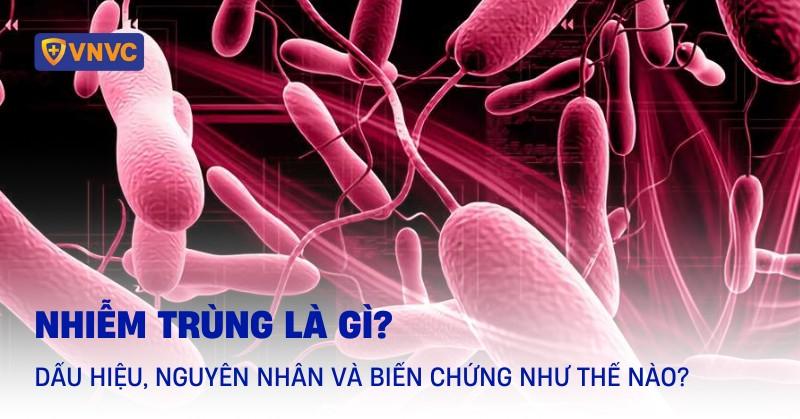 Hinh anh the hien mot so dau hieu cho thay dong vat co the dang bi thieu nuoc nghiem trong