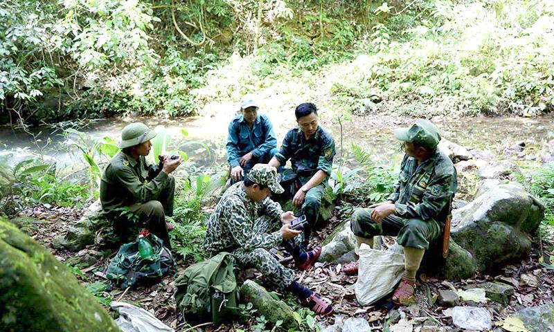 Minh họa ứng dụng công nghệ cao trong việc đo đạc độ che phủ rừng