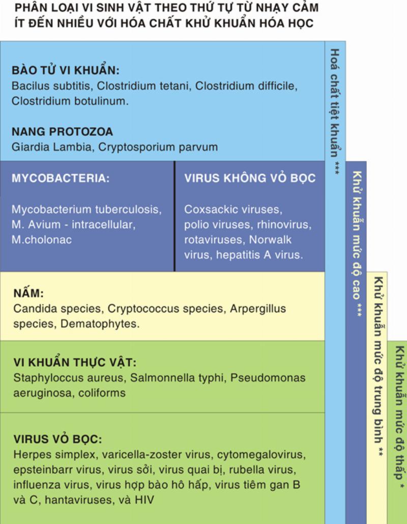 Chuẩn bị khu vực làm việc và dụng cụ cần thiết cho quy trình tẩy gỉ sắt hiệu quả tại nhà