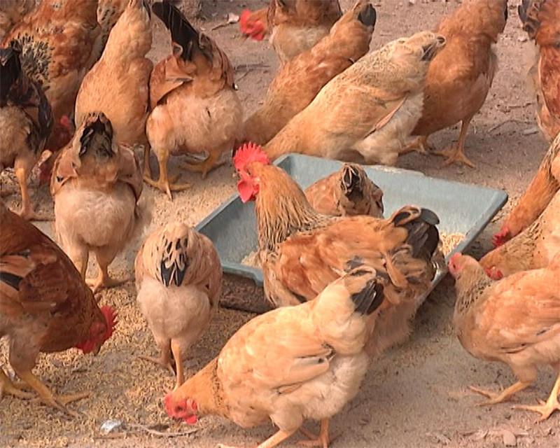 Lời khuyên chuyên gia để đo lường chính xác khối lượng, tránh sai sót khi chuyển đổi 500g bằng bao nhiêu kg.